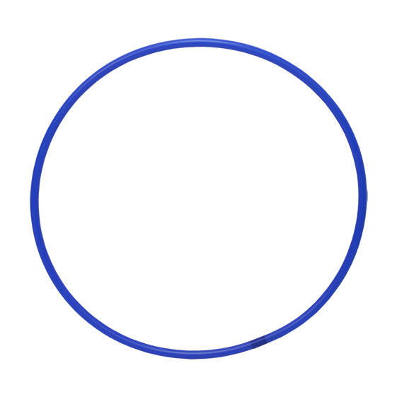 Aro de Rítmica Adulto