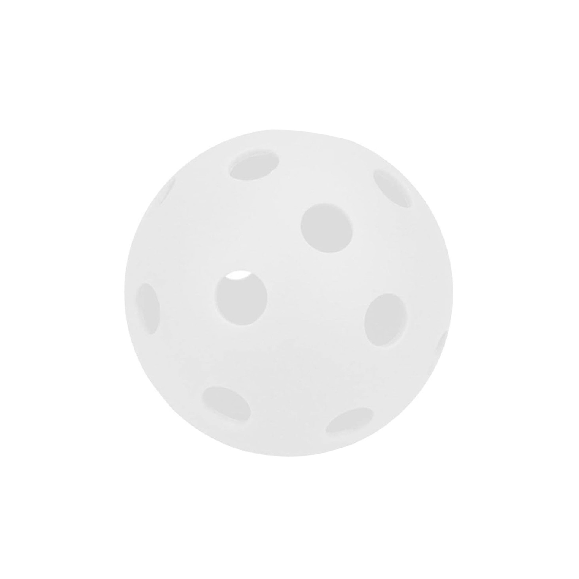 Pelota Pickleball School